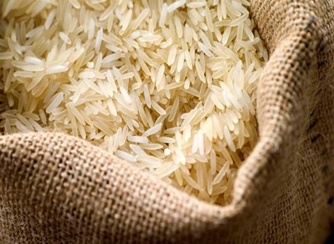 خرید و قیمت برنج پاکستانی ۵ کیلویی + فروش عمده